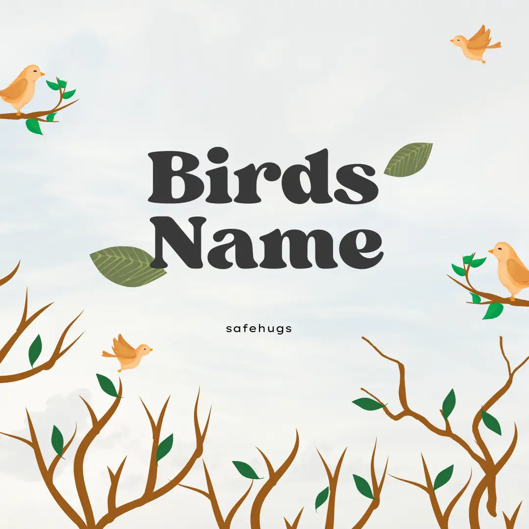 100+ Birds Name List (A-Z) with Pictures
