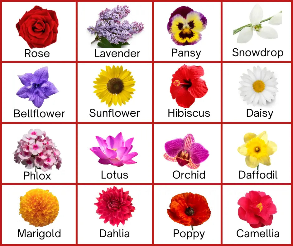 Flowers Name