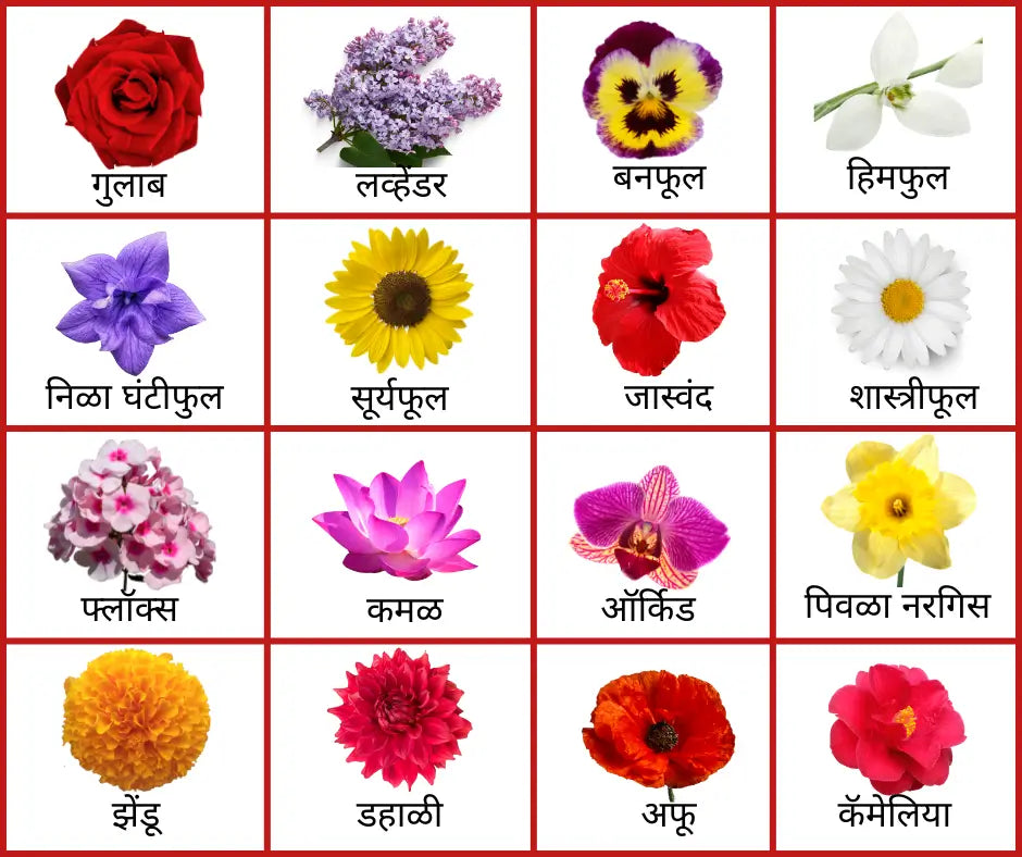 Flowers name in  Marathi