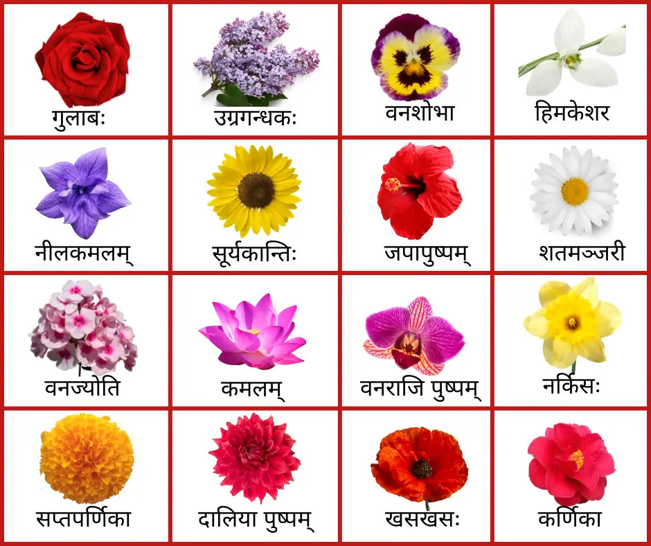 Flowers name in Sanskrit