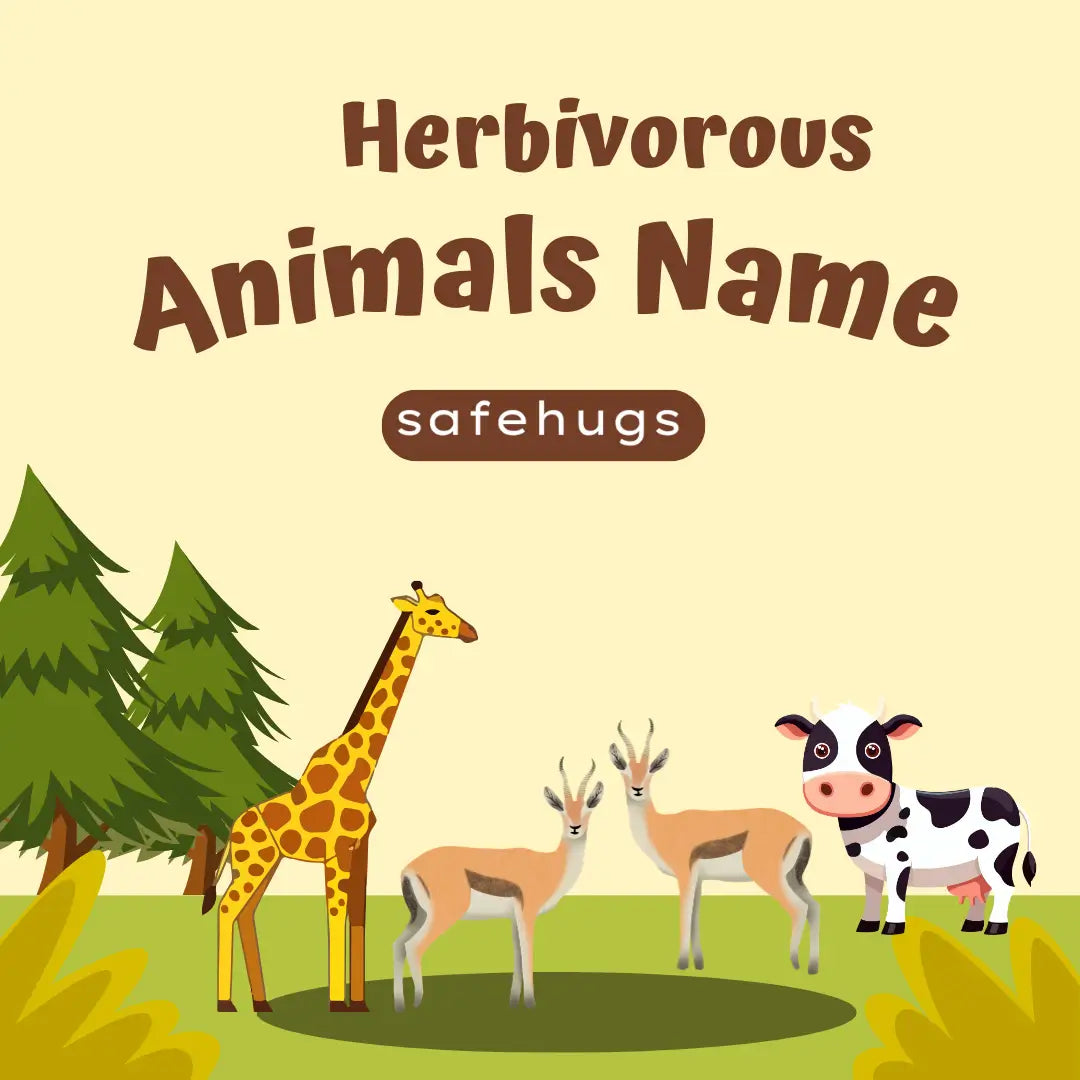 Herbivorous Animals Names in English For Kids