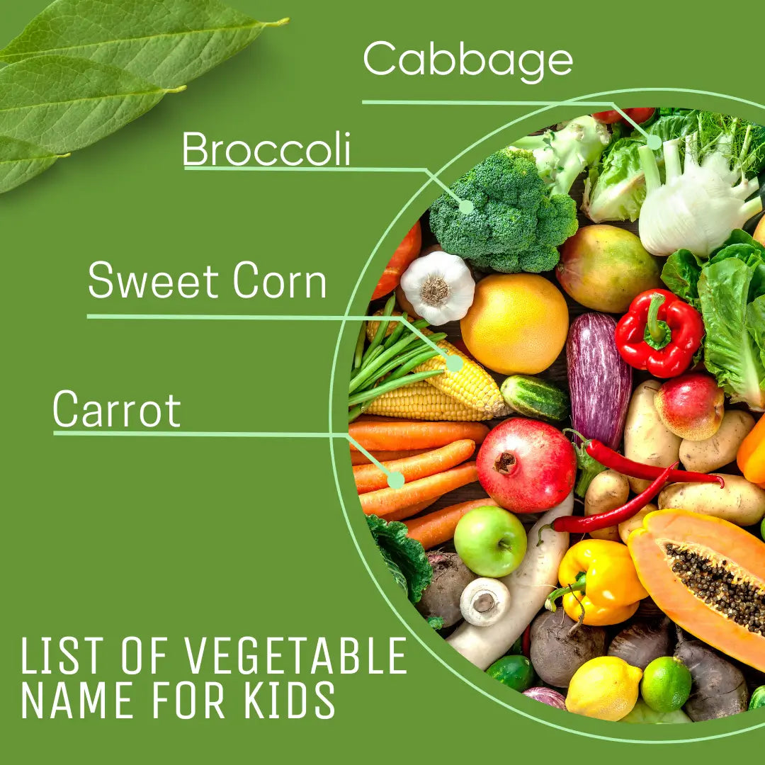  List of Vegetable Name 