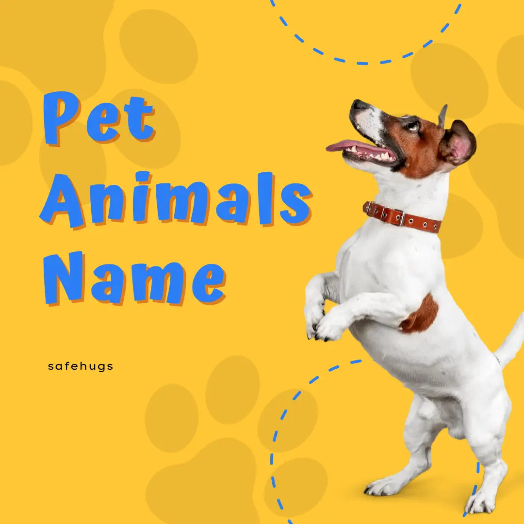 100+ Pet Animals Names in English & Hindi
