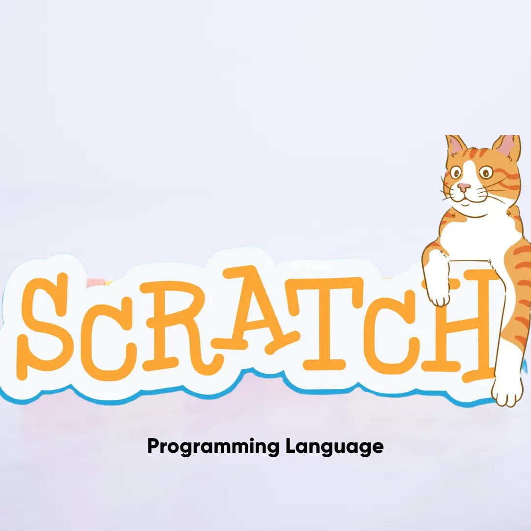 About Scratch Computer Programming Language